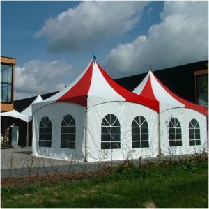 Festival pagode 5x5 m wit-rood
